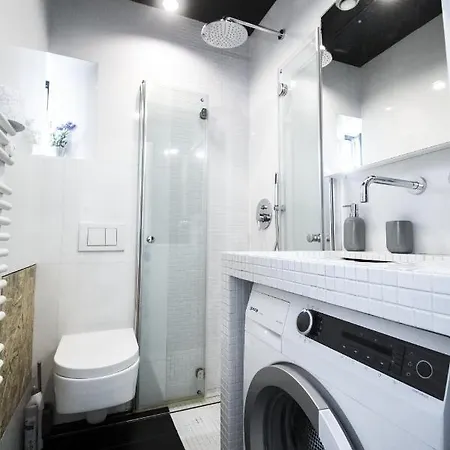 Lion - Gold * Krakow