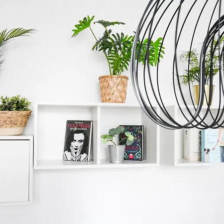 Lion - Gold Краков